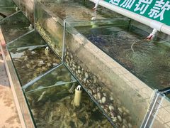 -海岸风情蒸汽海鲜自助餐厅(家宴金手勺店)