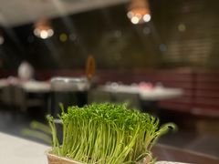 -海底捞火锅(高科广场店)