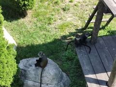 -大连森林动物园