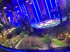 -千家粗粮王(MOMOPARK店)