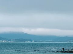 -花海间·即刻露营