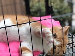 -臻鲜燕海鲜融合餐厅(金陵style店)