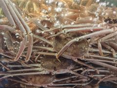 -蟹之国·精品蟹料理(极地店)