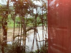 -广州凤凰城酒店-维也纳西餐厅