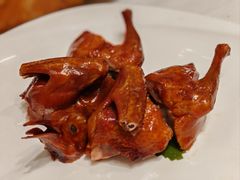 -富淳饭店(世纪公园店)
