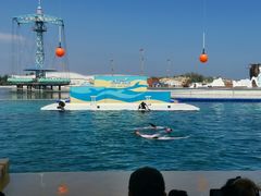 -秦皇岛乐岛海洋王国