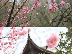 -西山风景区