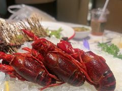 -洪福龙虾