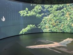 -中国湿地博物馆
