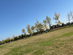 -汉长安城未央宫国家考古遗址公园