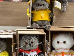 -谢列梅捷沃国际机场