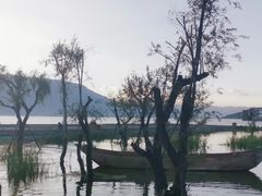 -大理洱海