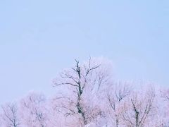 -雾凇岛
