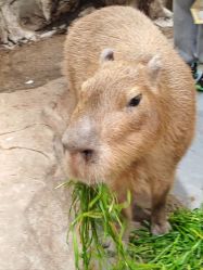 -Zoolung Zoolung动物主题公园(海信广场店)