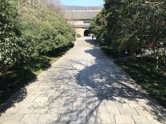 -灵谷景区