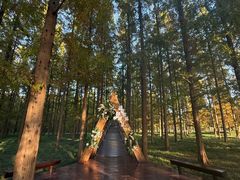 -黄海国家森林公园