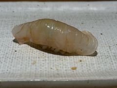 -镹·鱼料理  国产鱼使用店