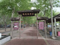 -杨柳青庄园