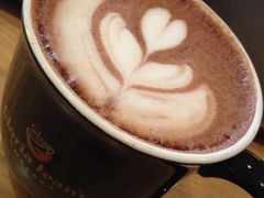 -Gloria Jean's Coffees