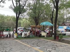 -秦扬居特色菜馆(上王村)