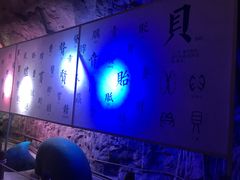 景点-贝壳梦幻世界