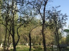 -水磨沟公园