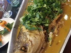 -食家鸽园