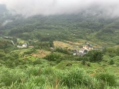 -杨家堂村
