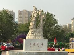 -曹州牡丹园