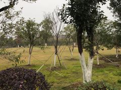 -瑶湖郊野森林公园