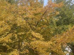 -辽宁大学(崇山校区)