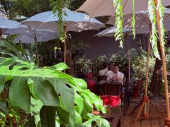 -Fern Forest Cafe