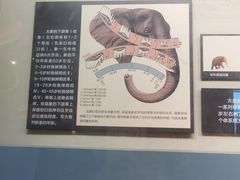 -大庆市博物馆