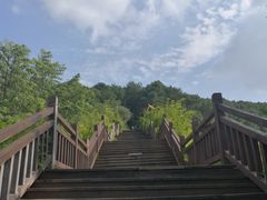 -铁山坪森林公园