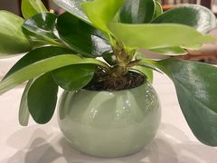 -白云中餐厅·粤菜·亚龙湾喜来登度假酒店