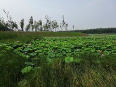 -法诗甜蛋糕店(皇姑大润发店)