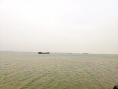 -大湾区中央湿地公园