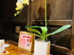 -小吊梨汤·北京菜·烤鸭(四元桥店)