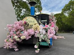 -上海鲜花港