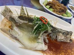 清蒸老虎斑-老乡村美食农庄