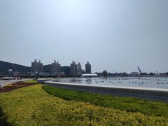 -星海广场