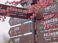 -洋湖国家湿地公园