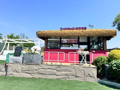 -爪吧宠物乐园 (温榆河示范区店)