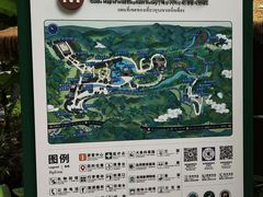 -野象谷景区