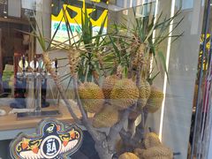 门面-猫王榴莲世家(三里屯SOHO商场店)