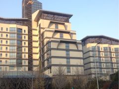 环球恐龙城维景国际大酒店-常州环球恐龙城维景国际大酒店