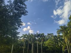 -深圳仙湖植物园