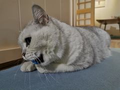 -小时光咖啡馆(开森度假森林店)