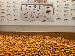 -上海崧泽遗址博物馆