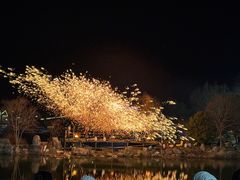 -大塘金香草谷